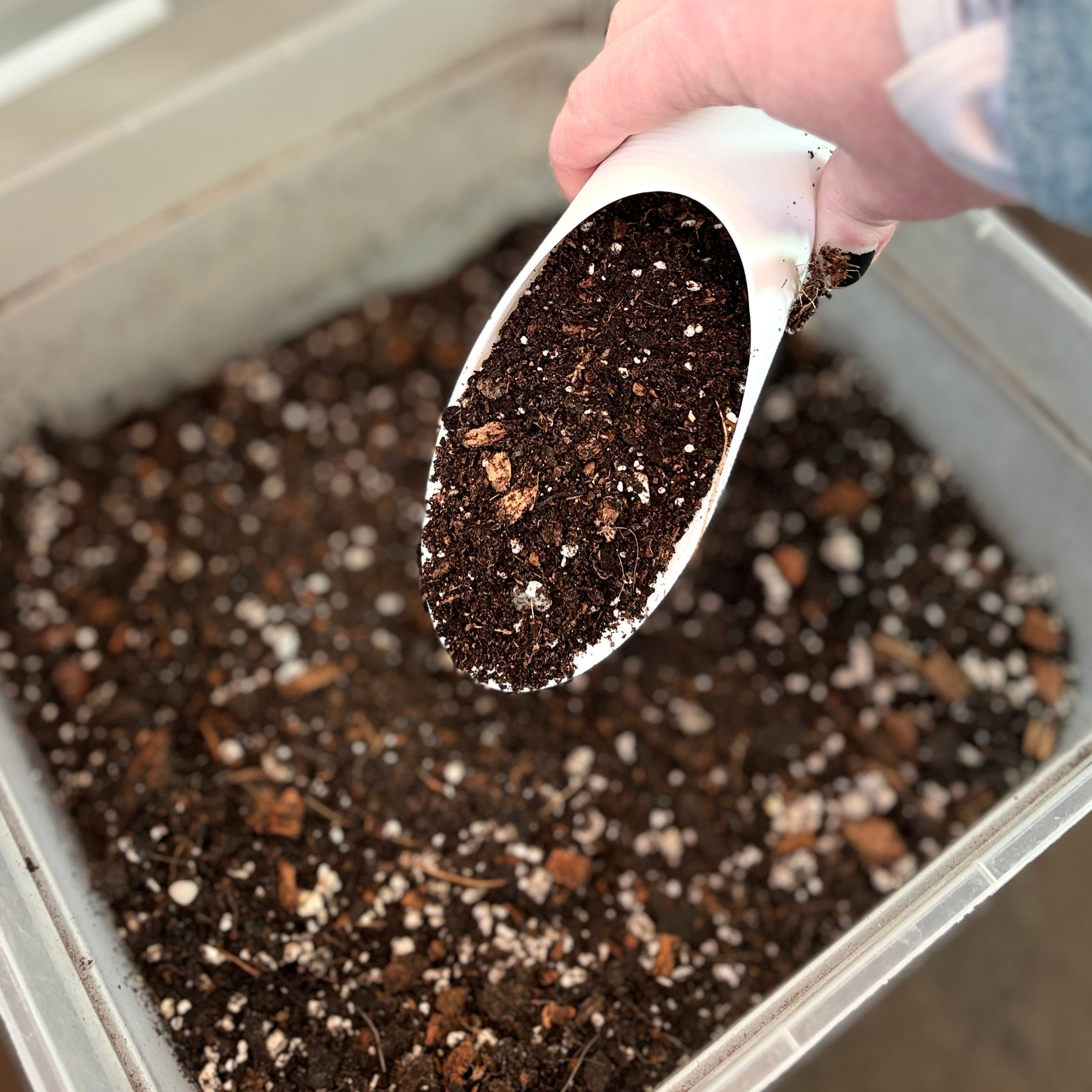 Paisley Potting Mix 3 Lb Bag