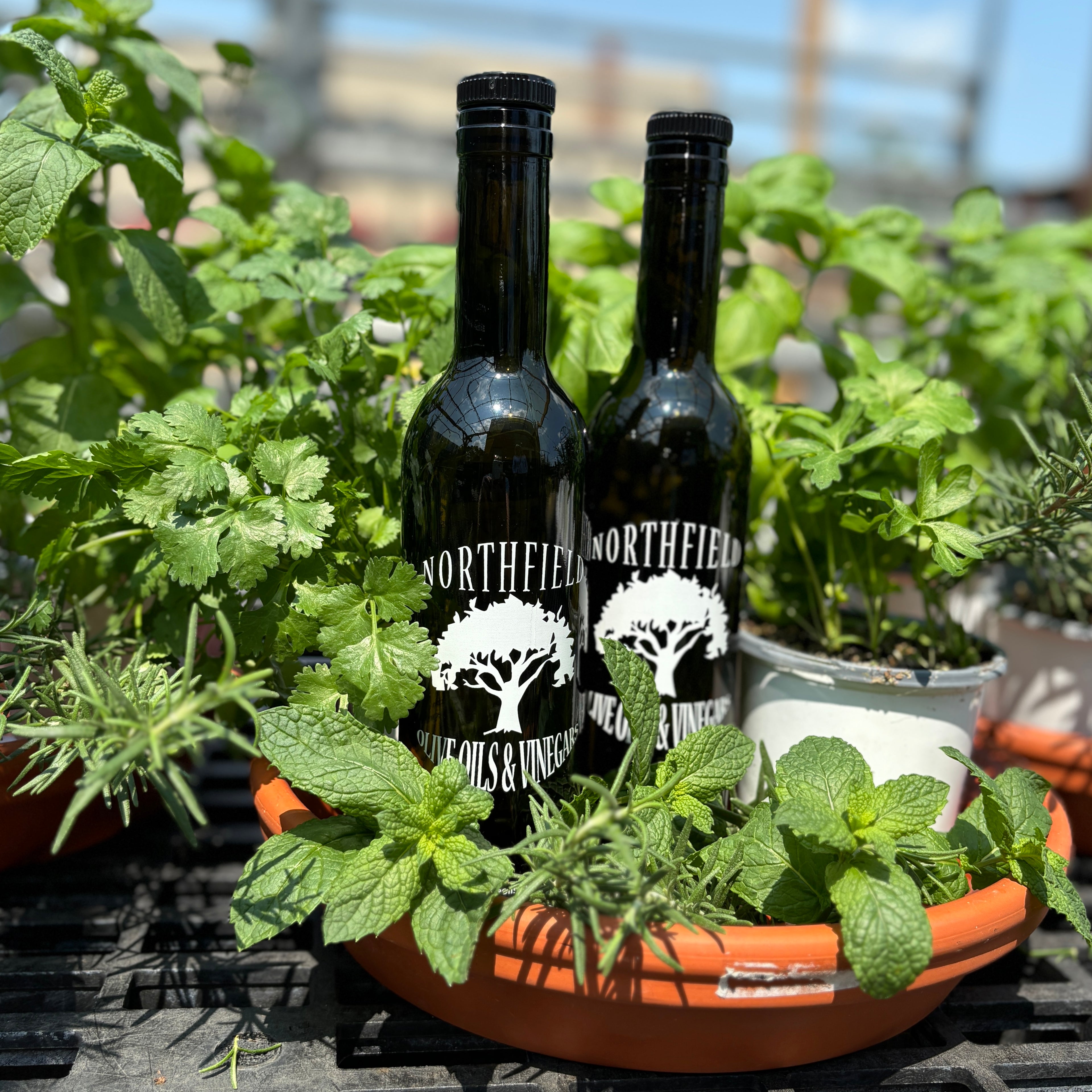 Herbs & Olive Oils Tasting Event