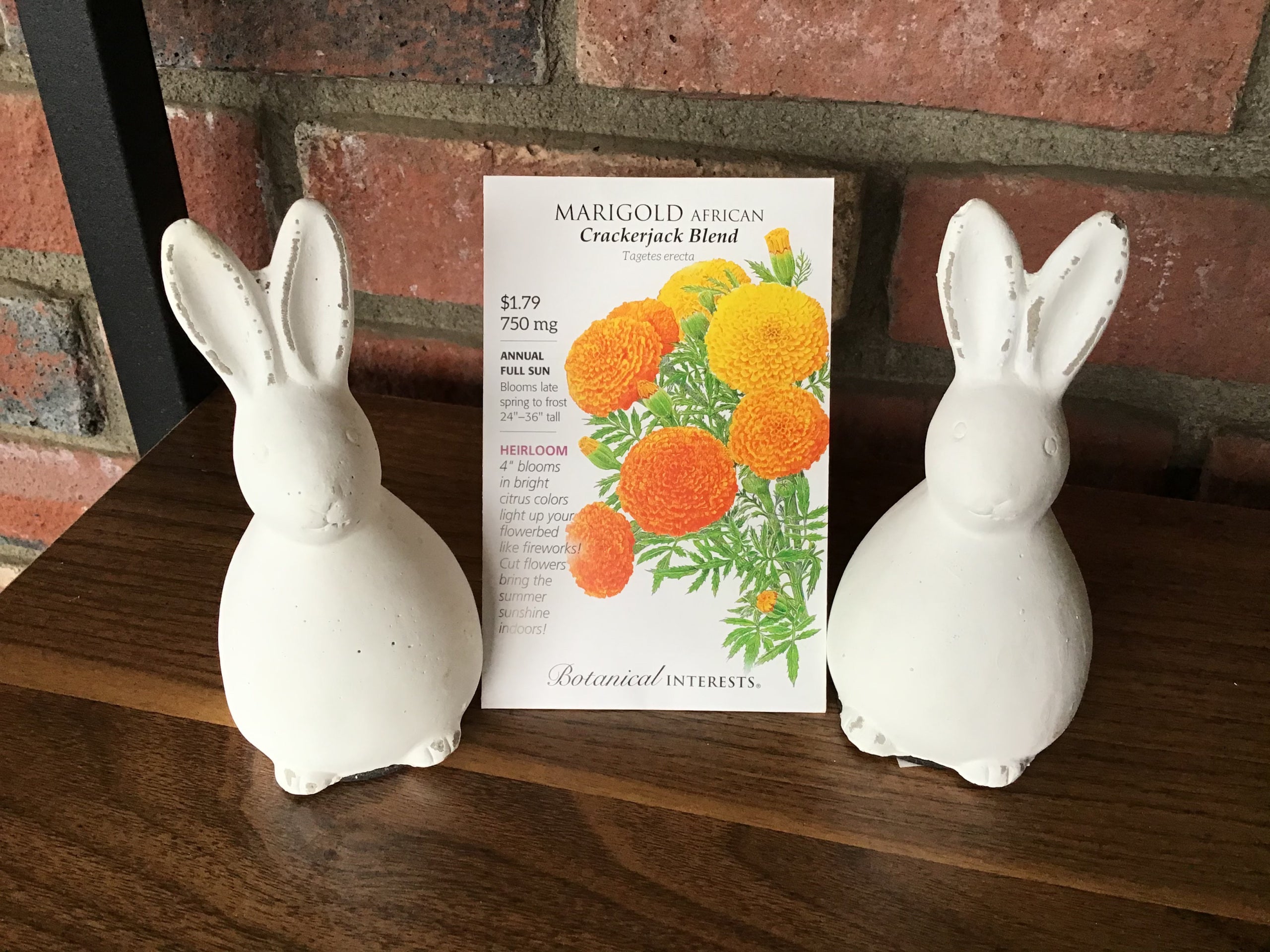 Marigold African Crackerjack Blend