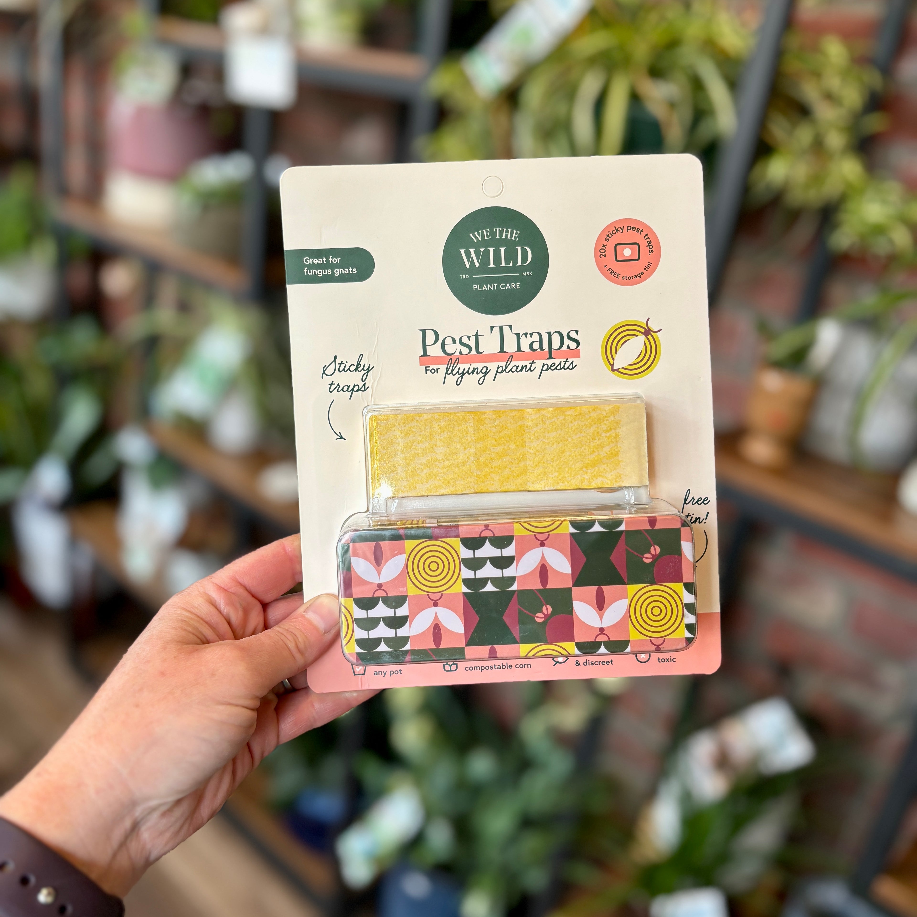 Compostable Gnat Traps + Free Storage Bin