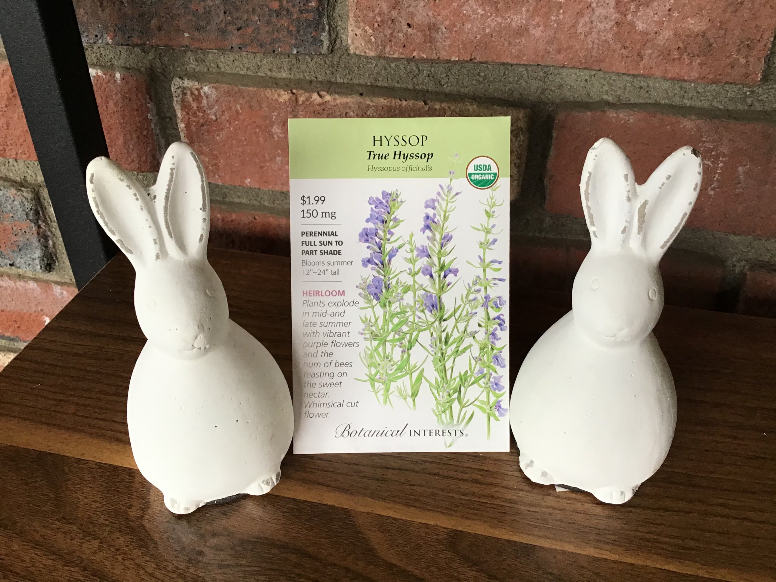 Hyssop True Organic
