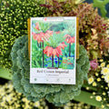 Fritillaria Red Crown Imperial