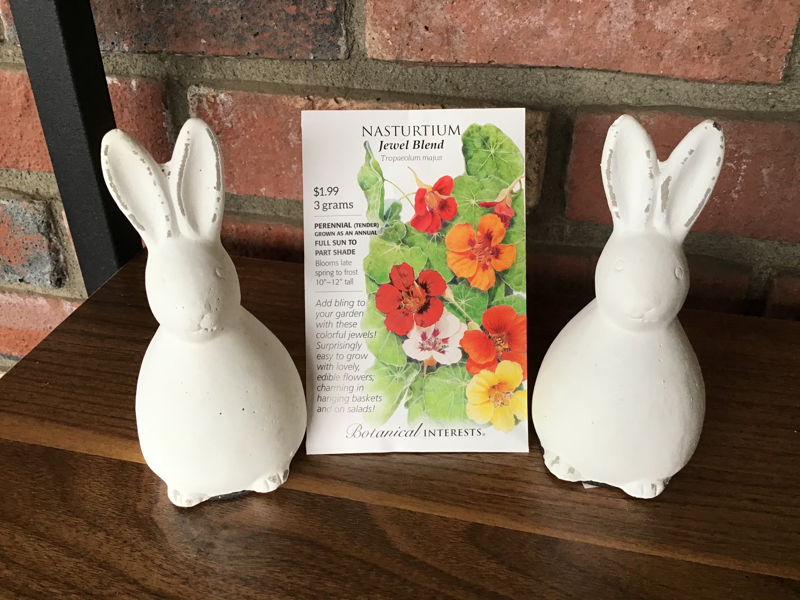 Nasturtium Jewel Blend