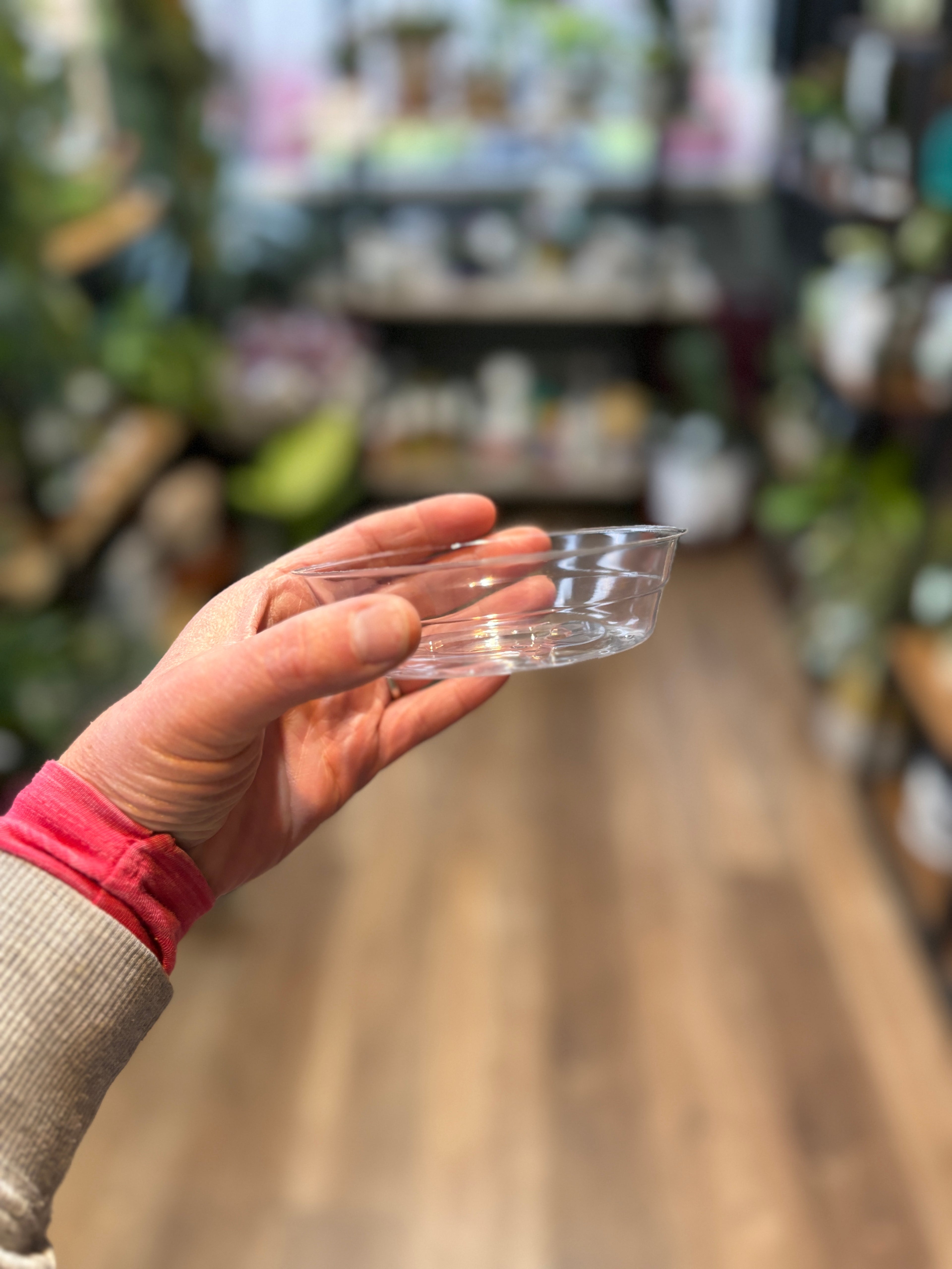 4 Inch Clear Nursery Saucer