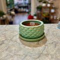 7.5" Diamond Bowl Planter In Wasabi Green