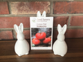 Tomato, German Pink Organic