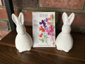 Sweet Pea, Knee-Hi Blend