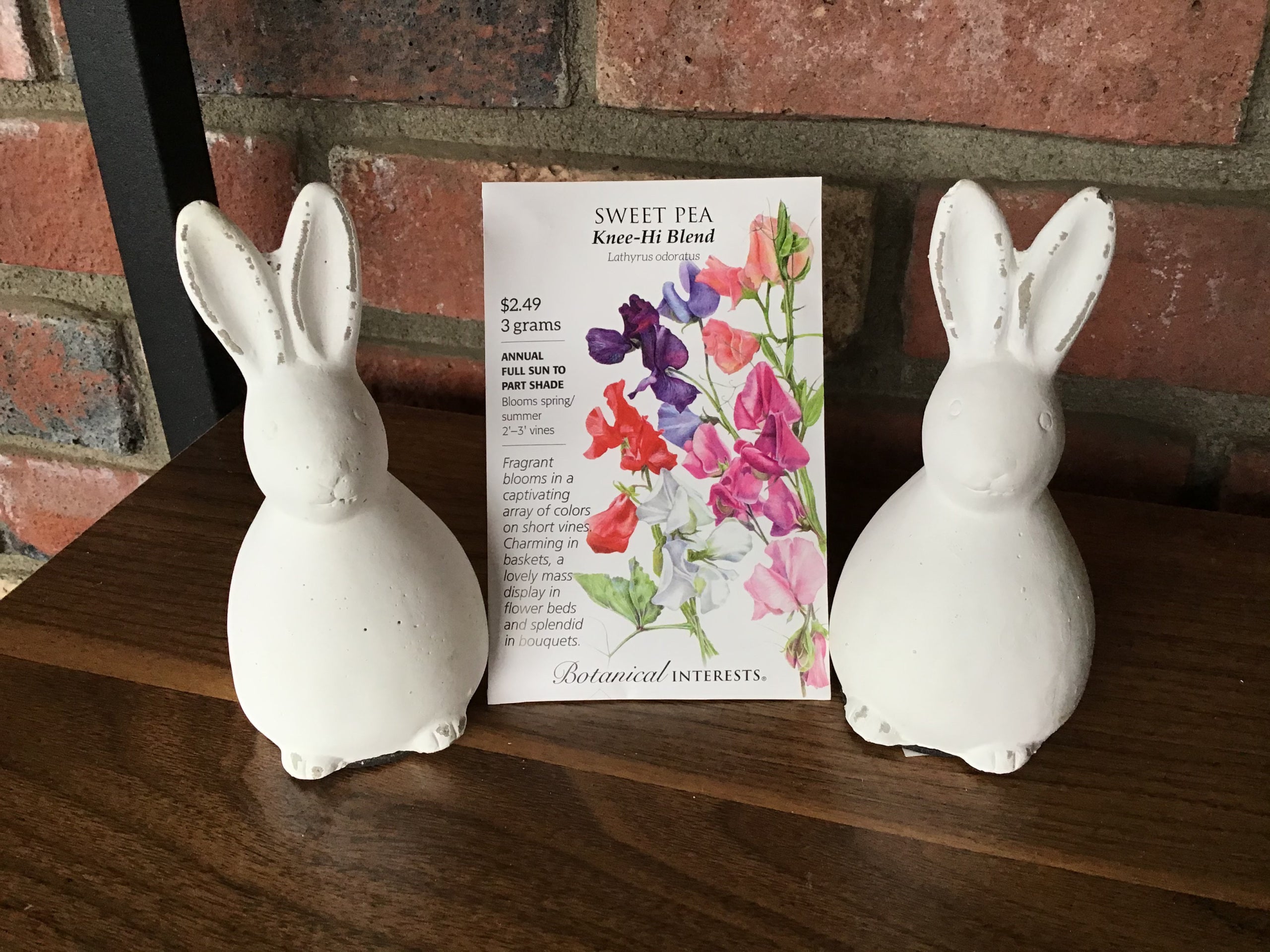 Sweet Pea, Knee-Hi Blend