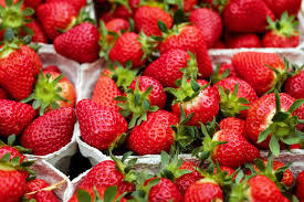 Jewel Bare Root Strawberry Midseason