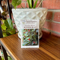 Runner Bean Kelvedon Marvel