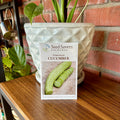 Cucumber Armenian