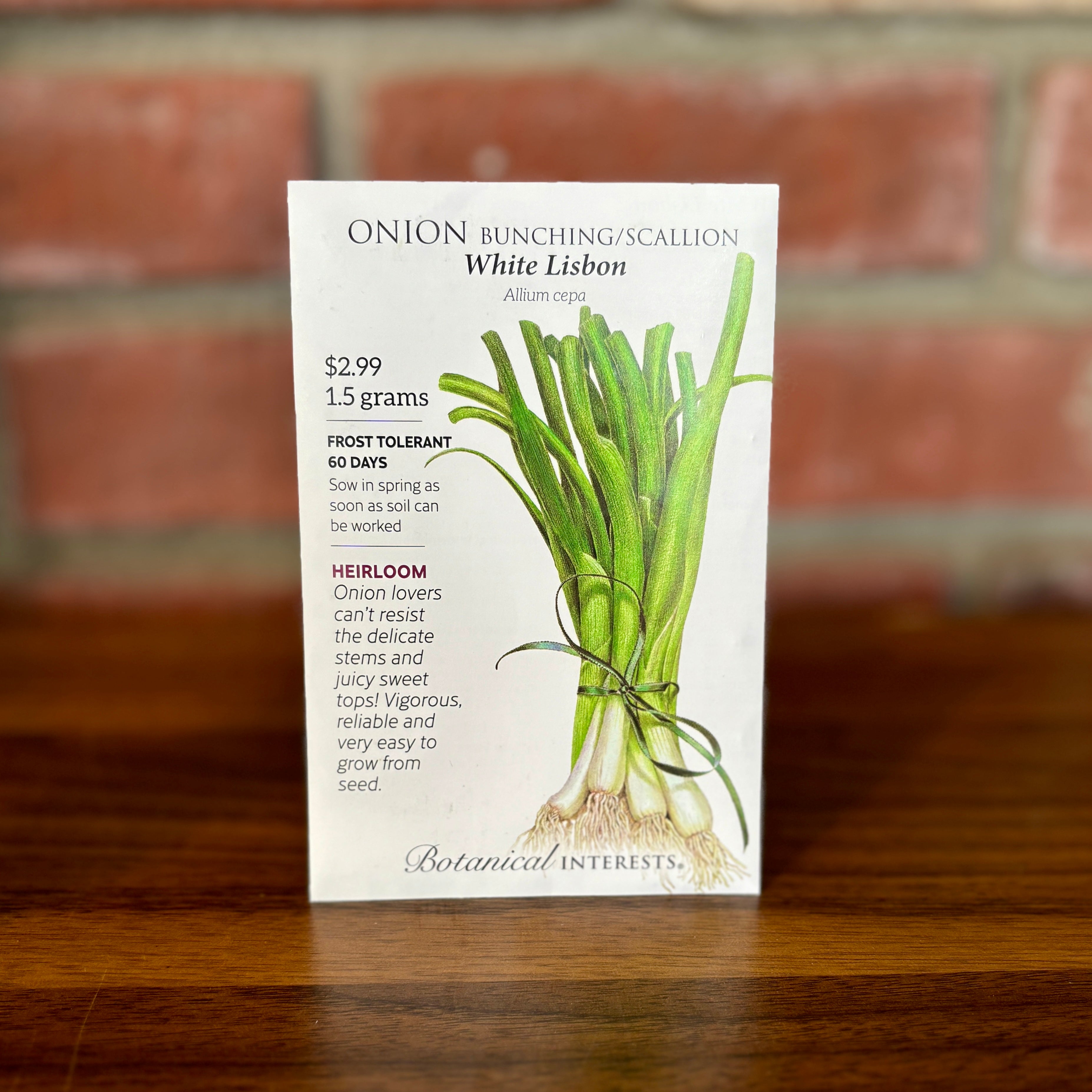Onion Bunching/Scallion White Lisbon