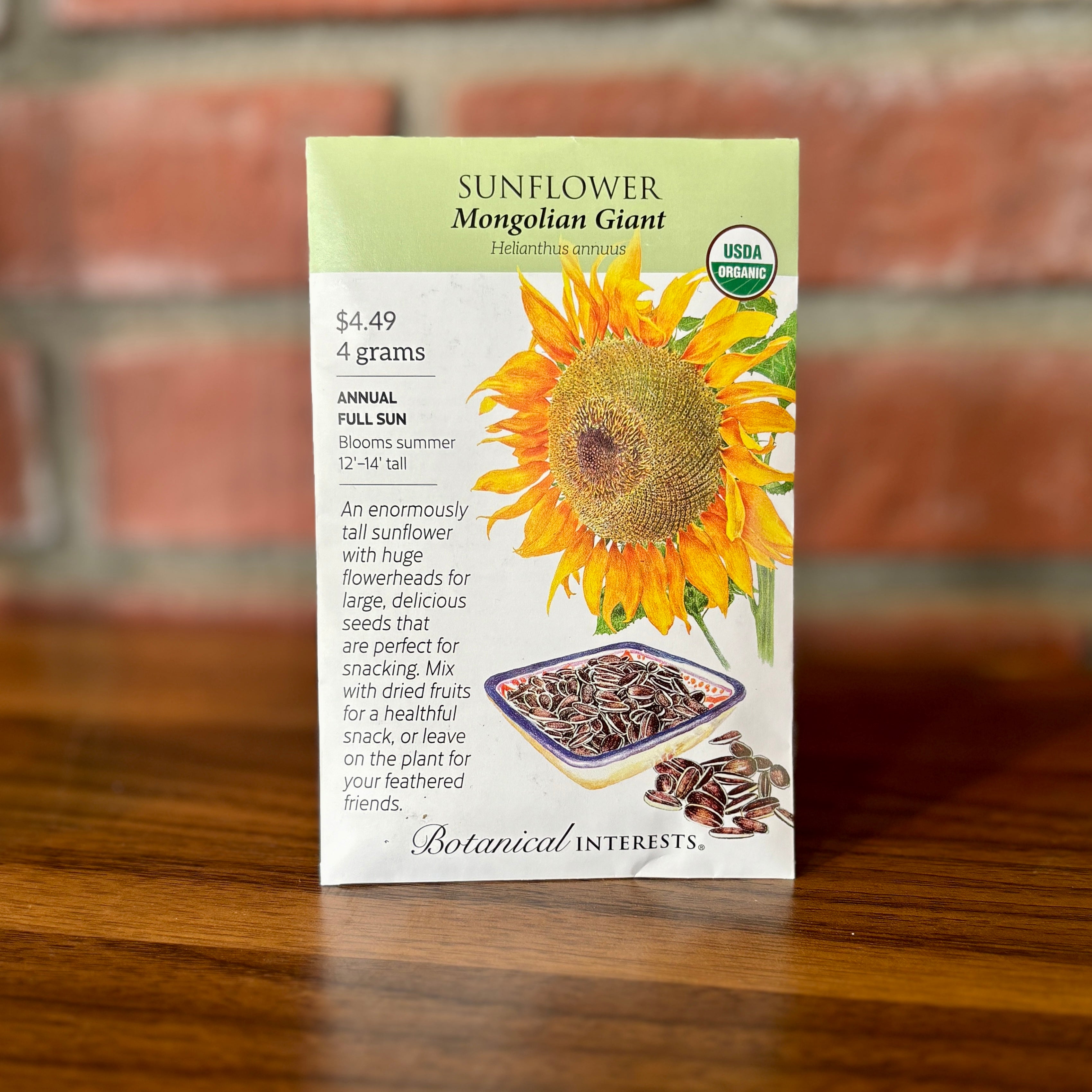 Sunflower 'Mongolian Giant' Organic | Helianthus