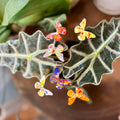 Small Enamel Copper Butterflies
