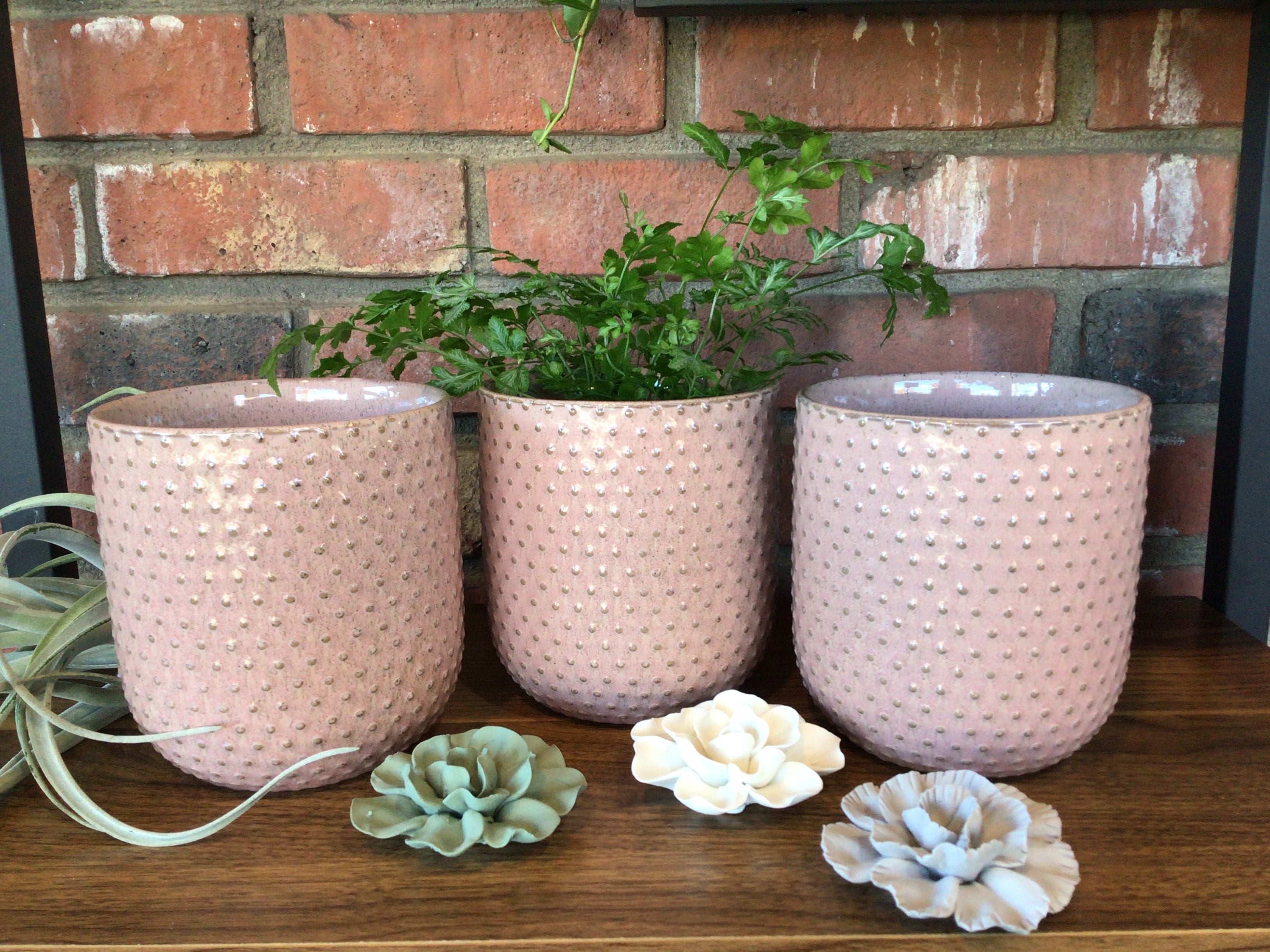 Everly Ceramic Pot