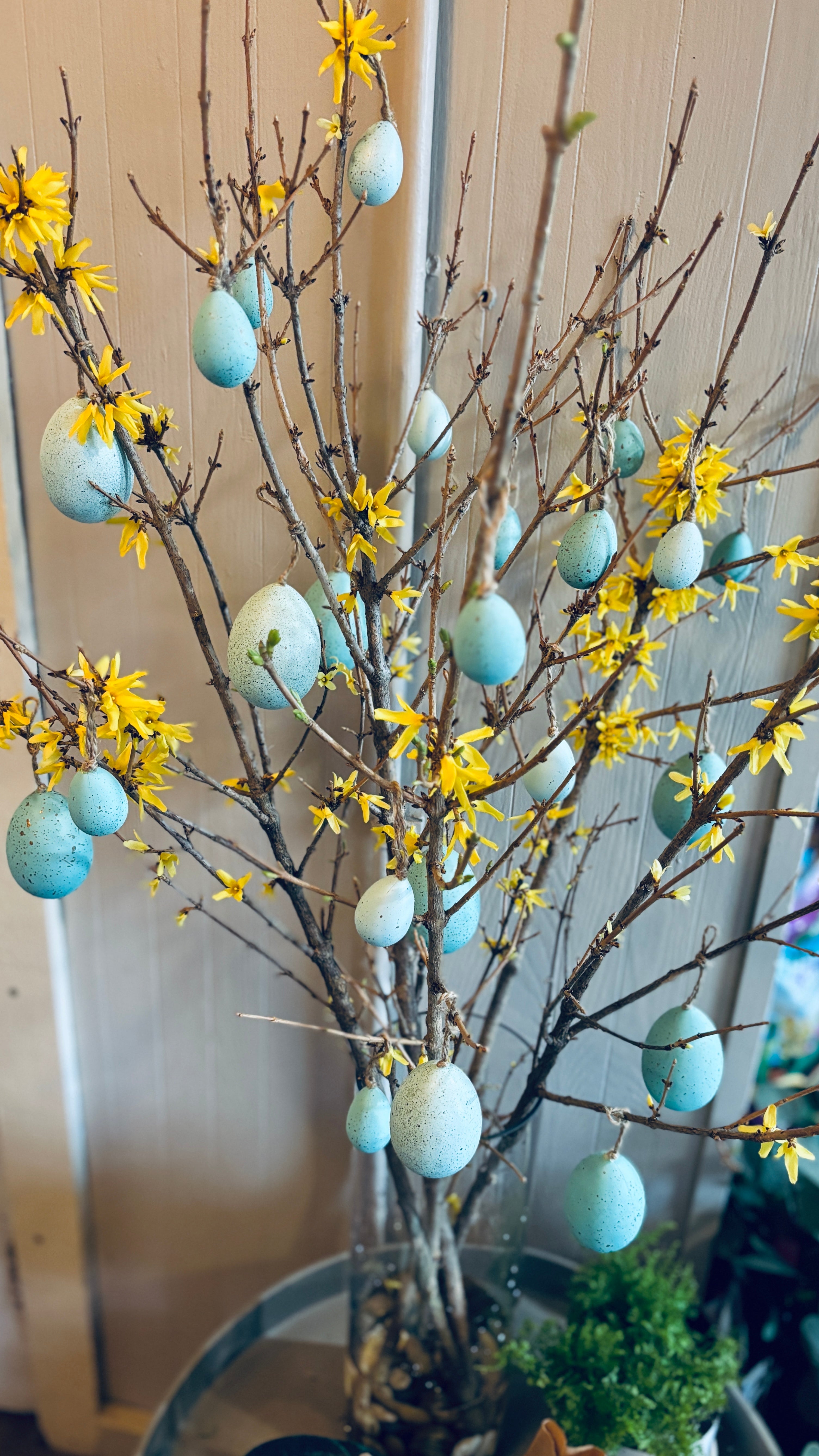 Forsythia Vase With Easter Eggs