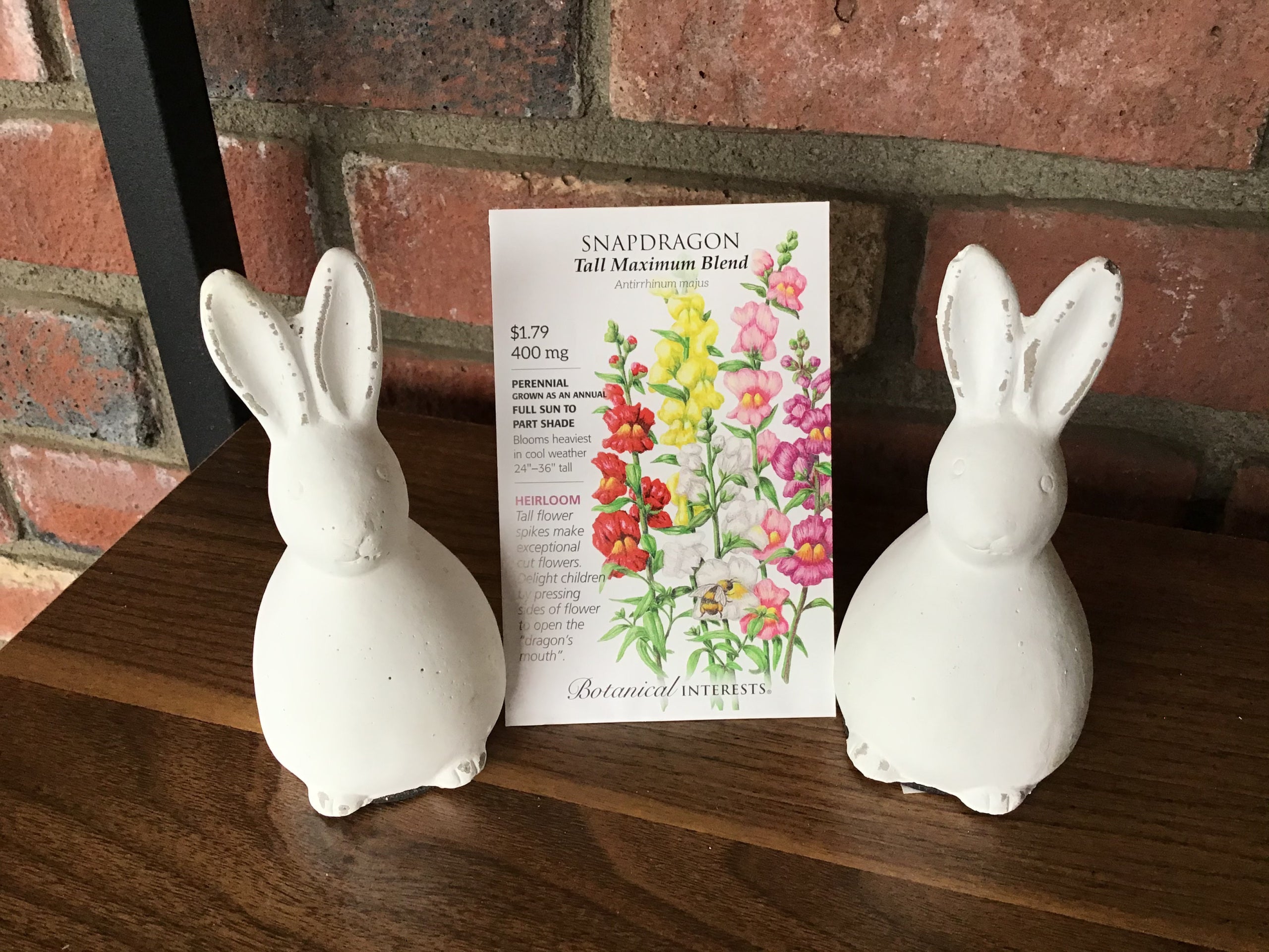 Snapdragon Tall Maximum Blend