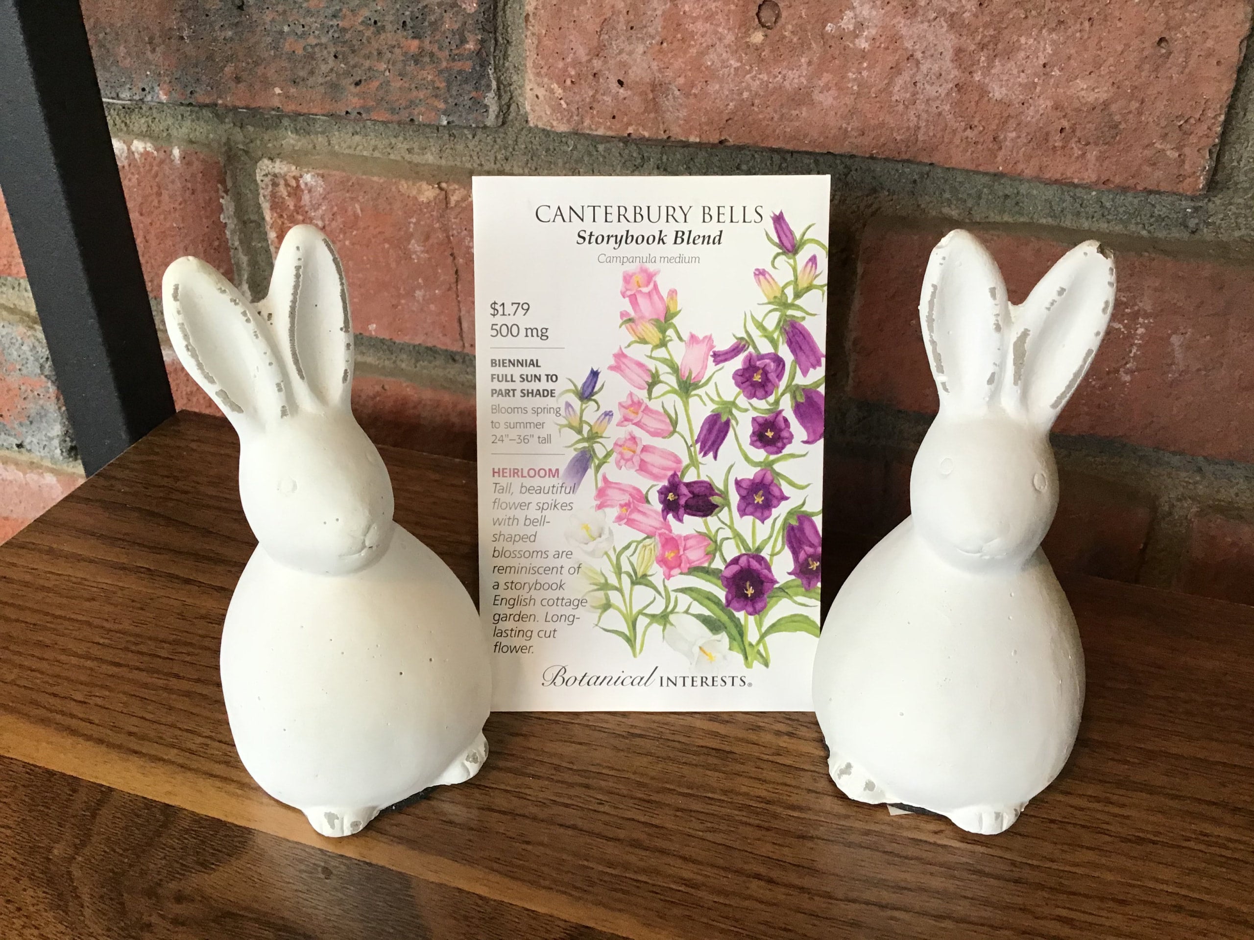 Canterbury Bells, Storybook Blend