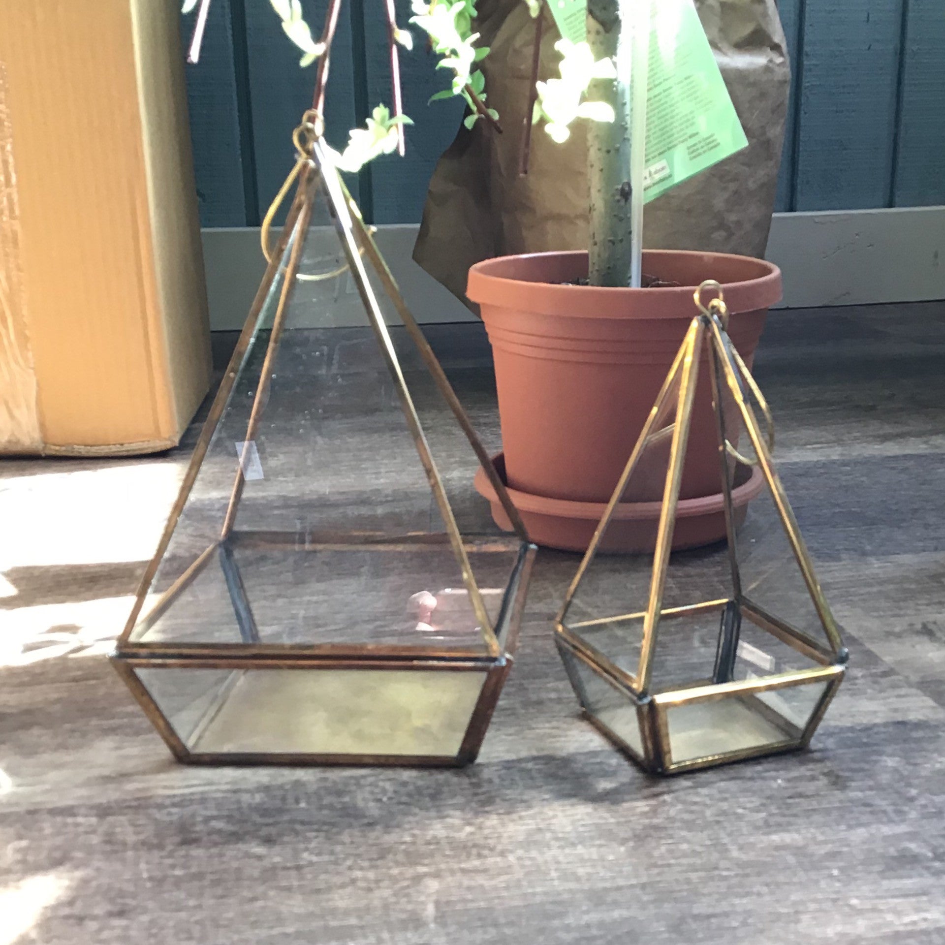 Prism Lantern Gold Medium 74951.00