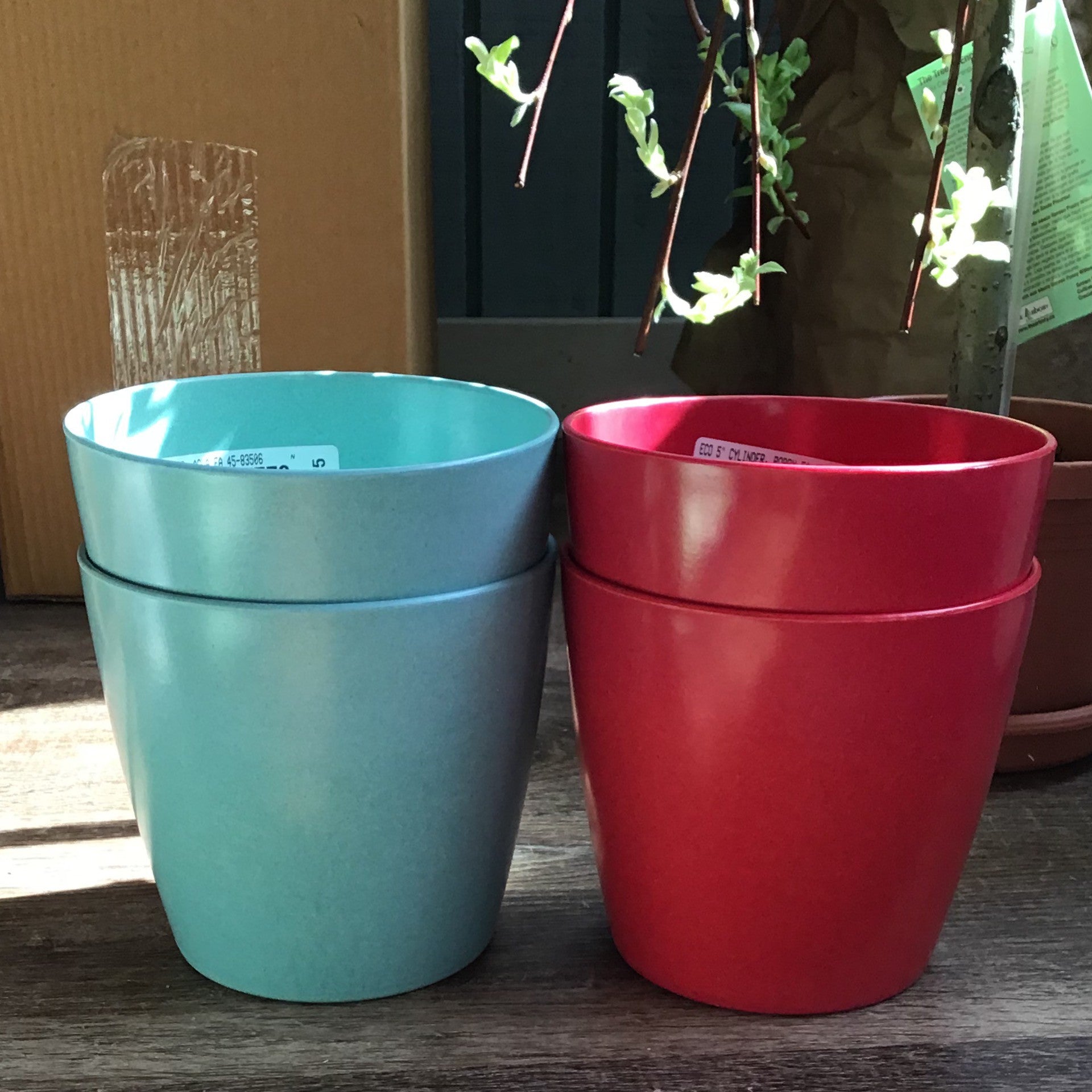 Eco 5" Cylinder, Poppy
