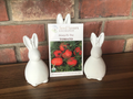 Tomato, Silvery Fir Tree