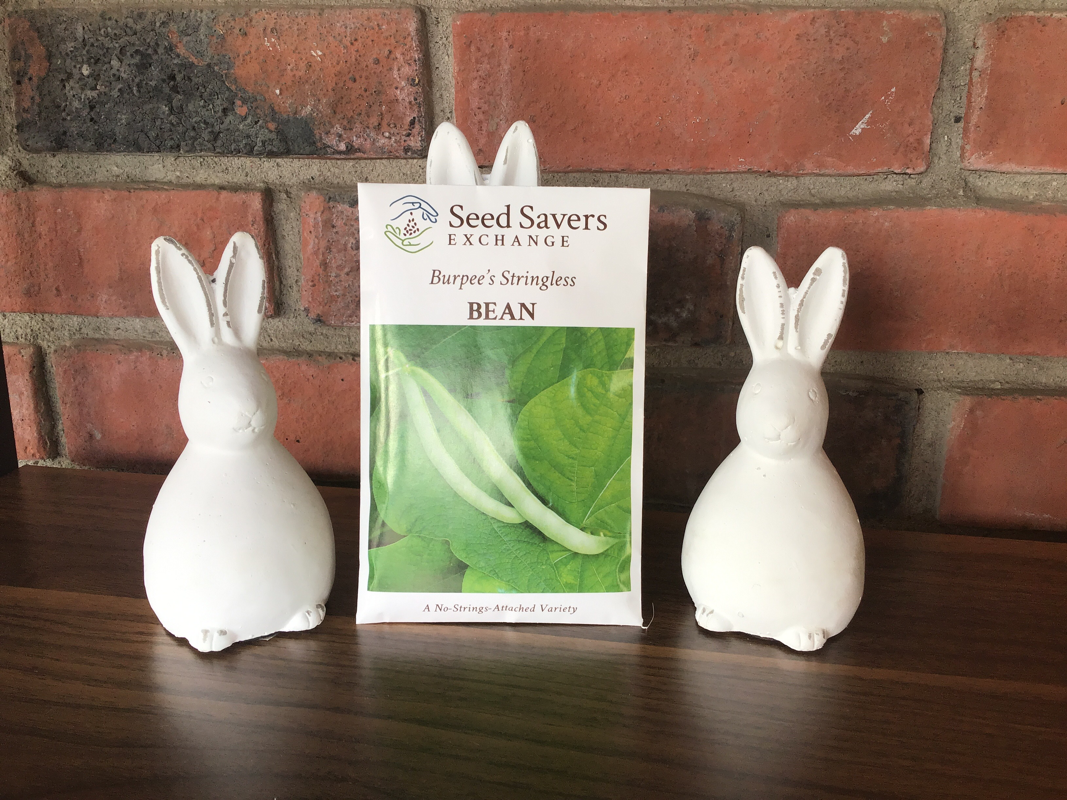 Bean Burpee’S Stringless Green Pod