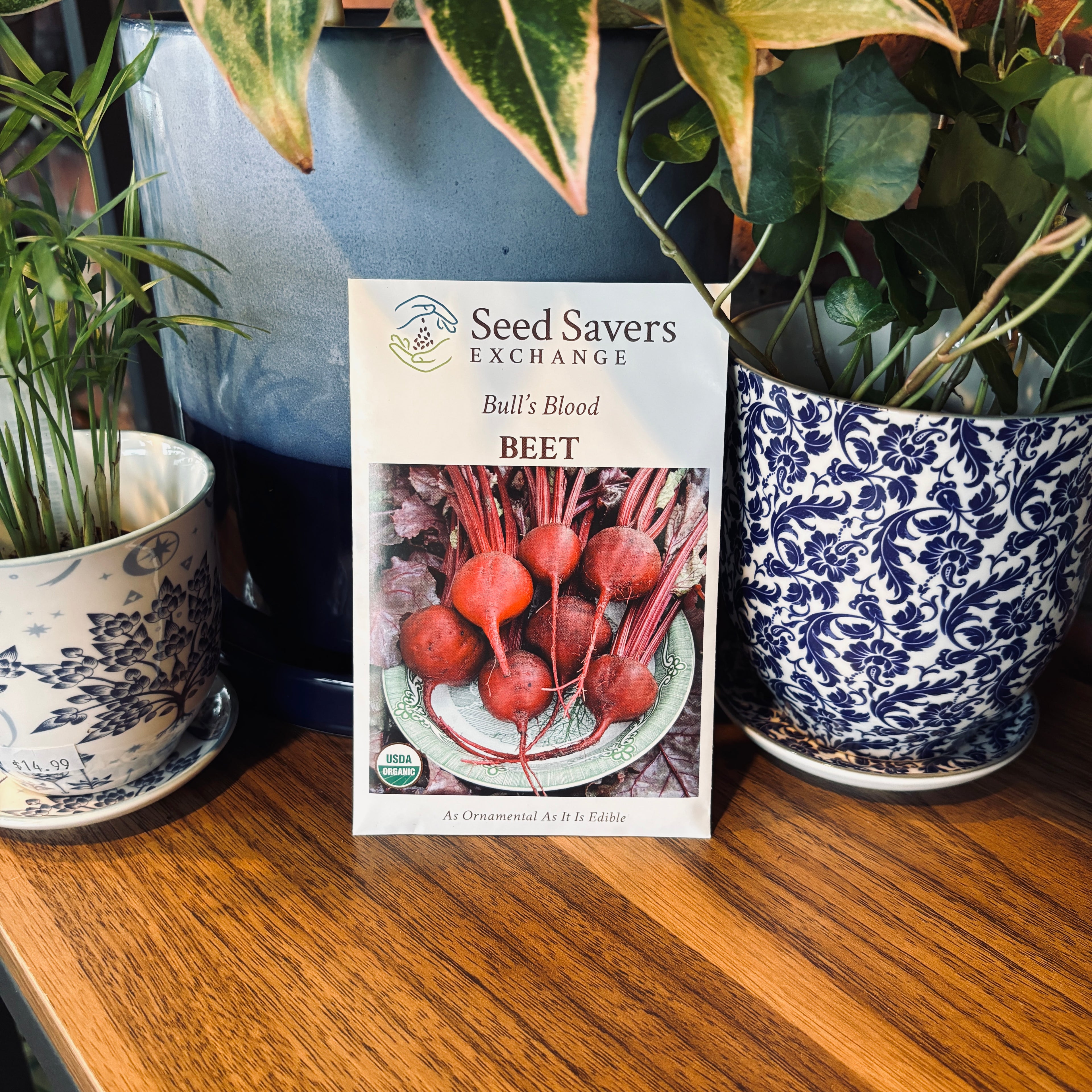 Beet Bull’S Blood Organic