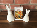 Gourd Mixture