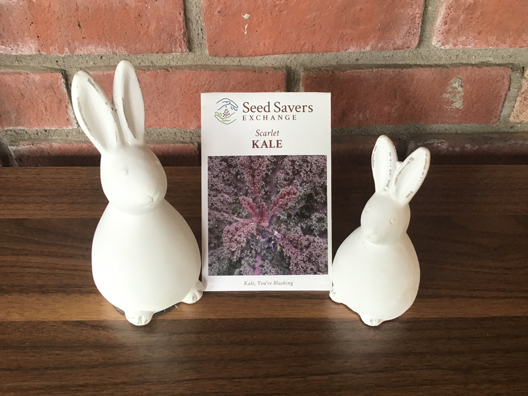 Kale Scarlet