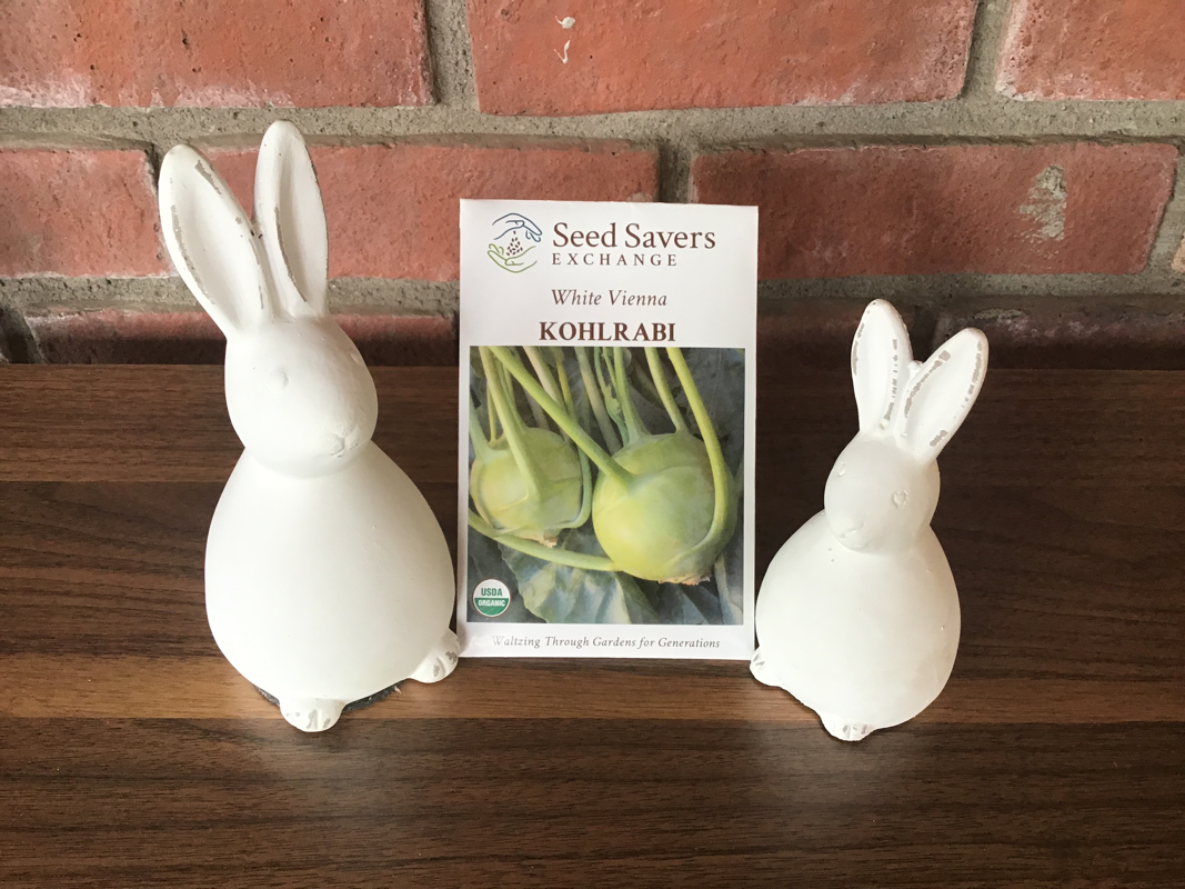 Kohlrabi White Vienna
