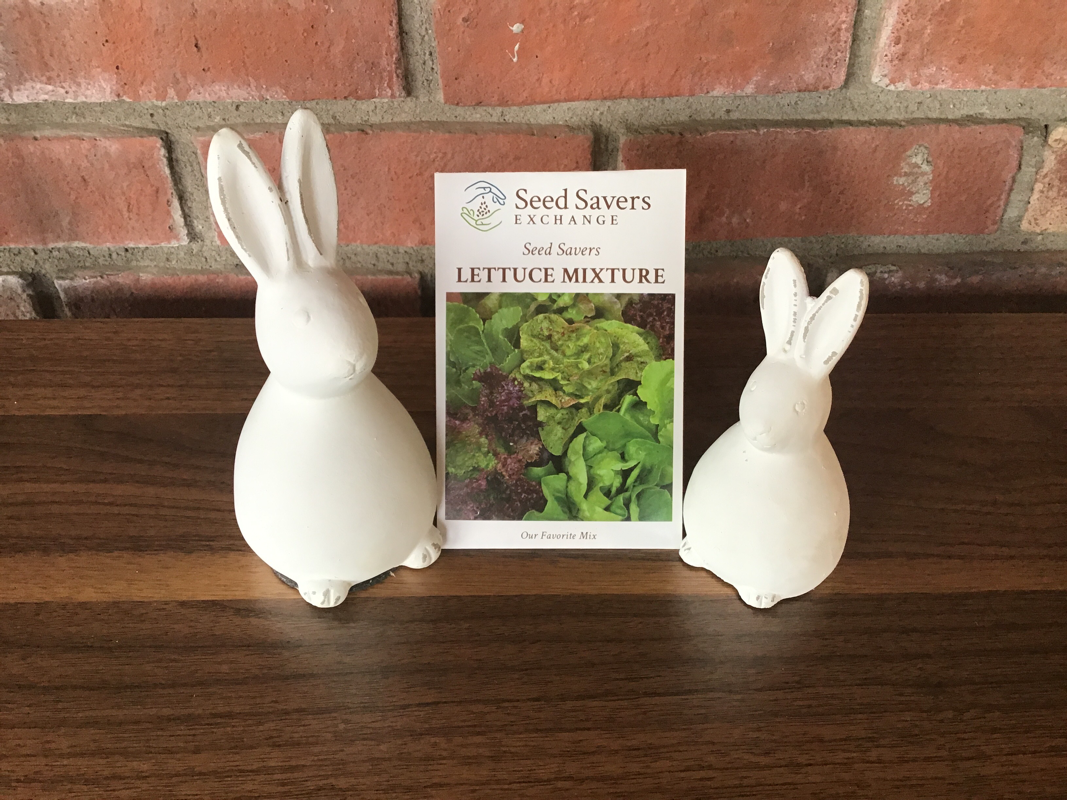 Lettuce Seed Savers Mixture