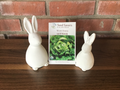 Lettuce Winter Density Organic