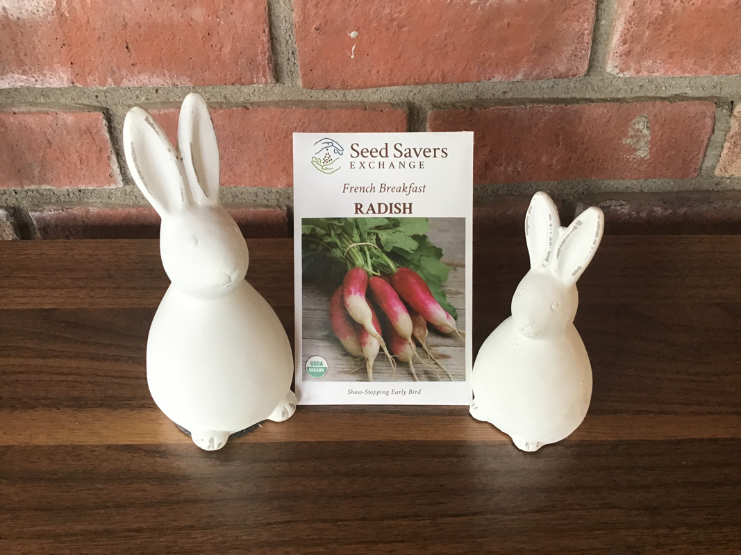 Radish French Breakfast