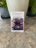 Watermelon Moon & Stars Van Doren Organic