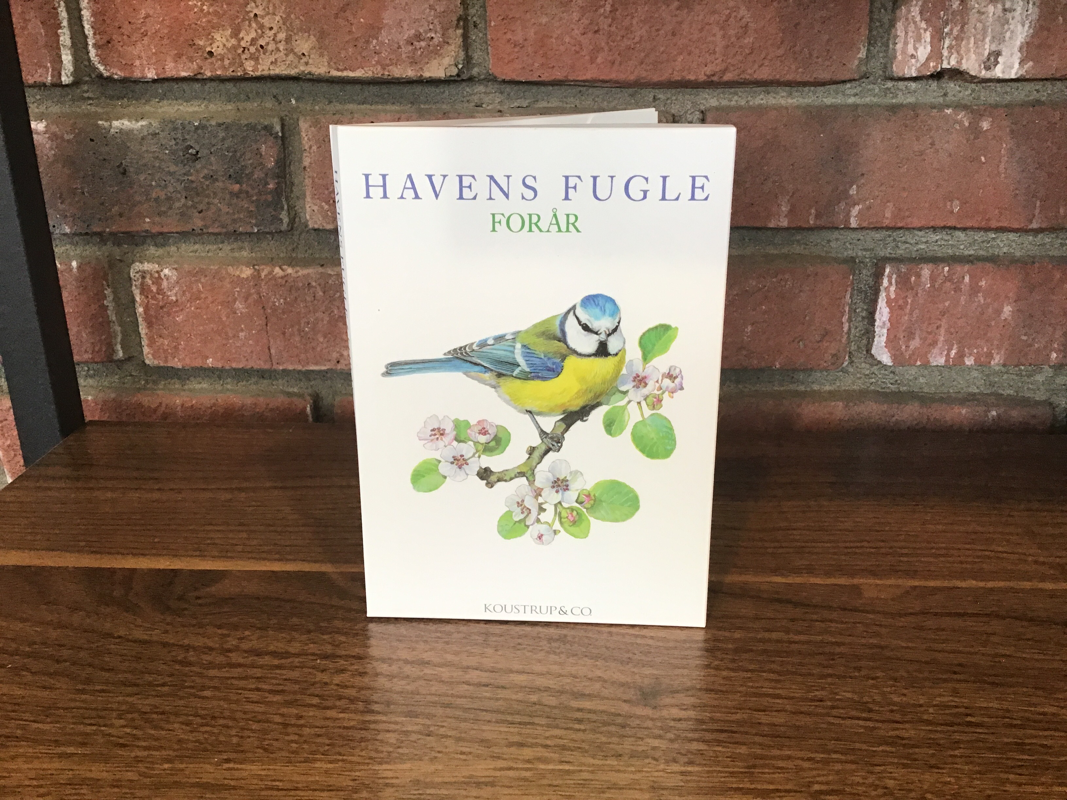 Notecards Birds