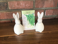 Bok Choy Baby Choi Organic