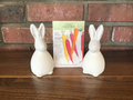 Carrot Carnival Blend Organic