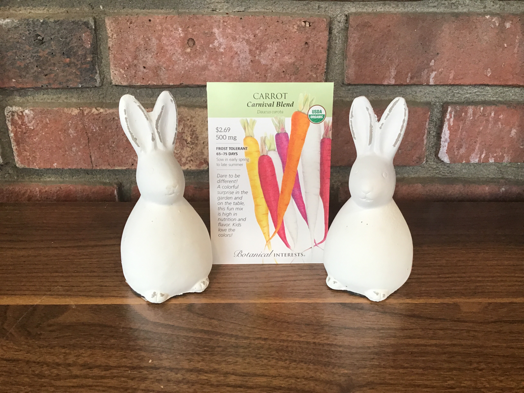 Carrot Carnival Blend Organic