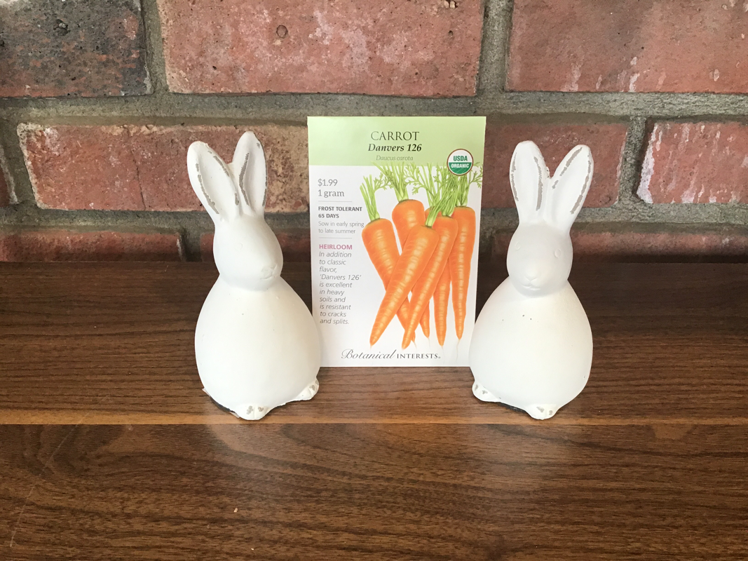 Carrot, Danvers 126 Organic