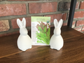 Lettuce Leaf Salad Bowl Blend Organic