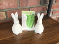 Lettuce Romaine Parris Island Cos Organic