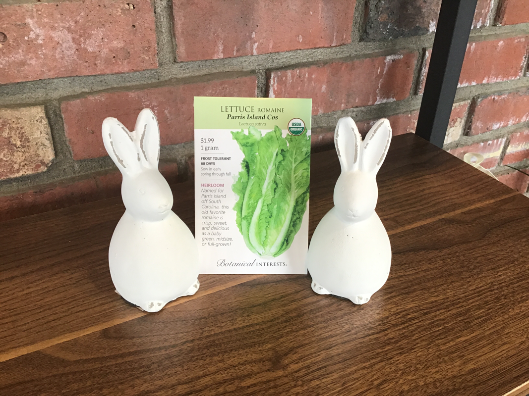 Lettuce Romaine Parris Island Cos Organic