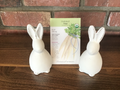 Parsnip Turga Organic