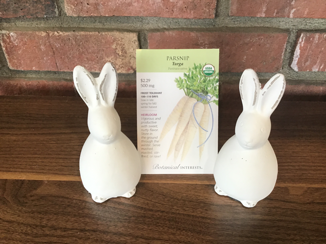 Parsnip Turga Organic