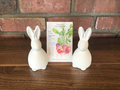 Radish Easter Egg Blend Organic