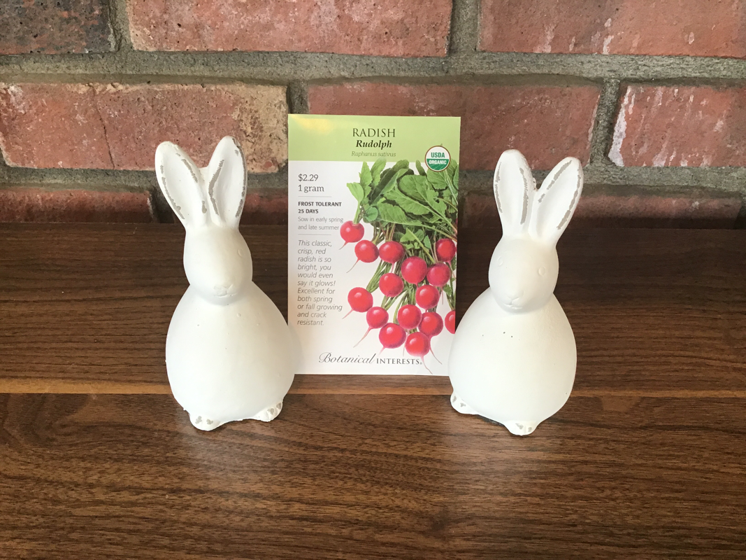 Radish Rudolf Organic