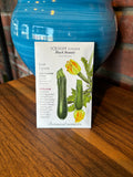 Squash Summer 'Black Beauty'