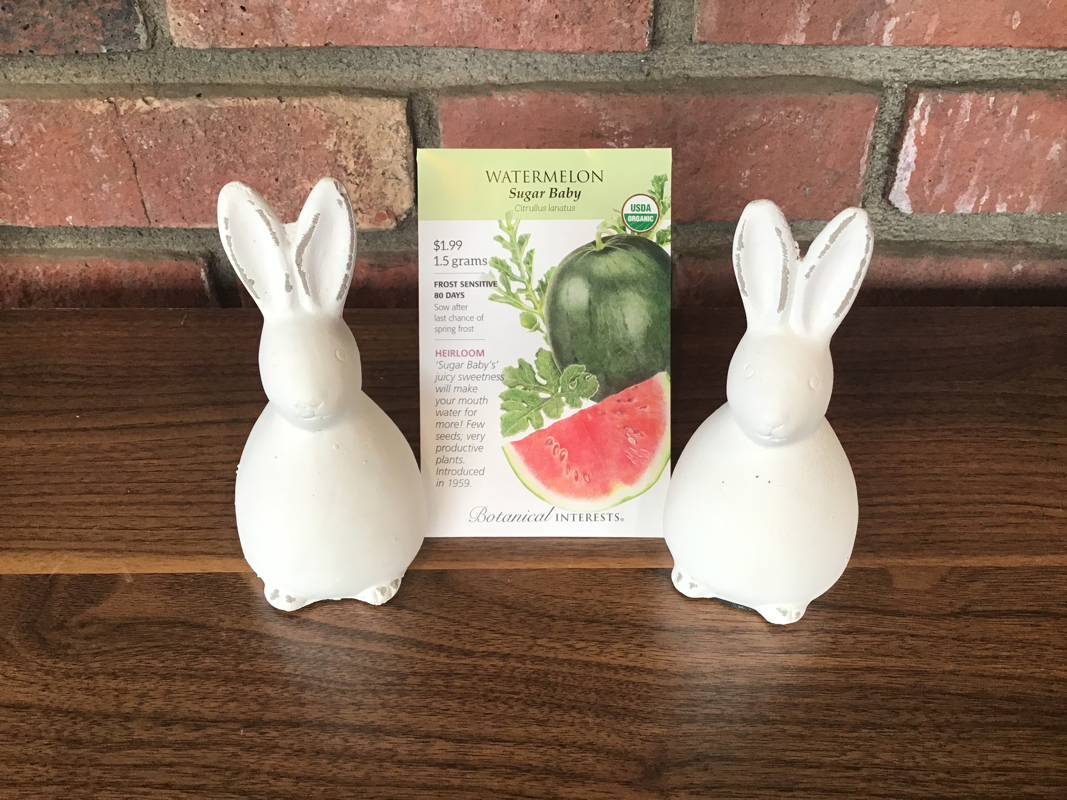 Watermelon 'sugar Baby' Organic