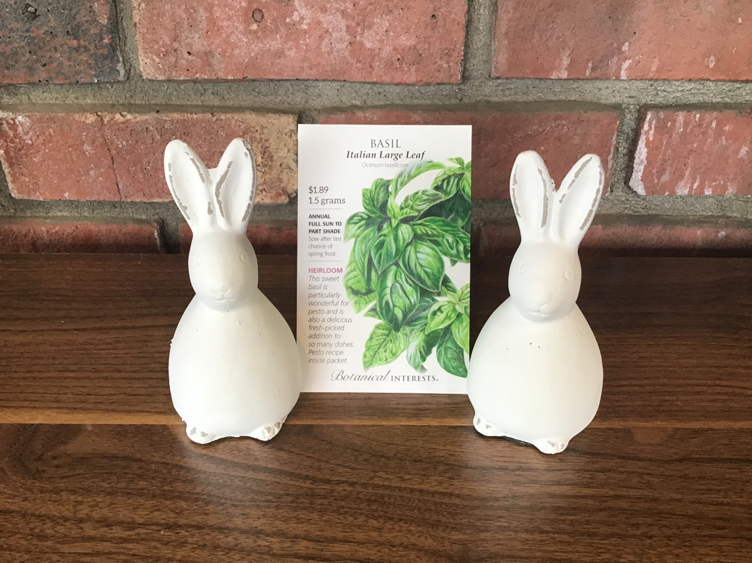 Basil Italian Large Leaf