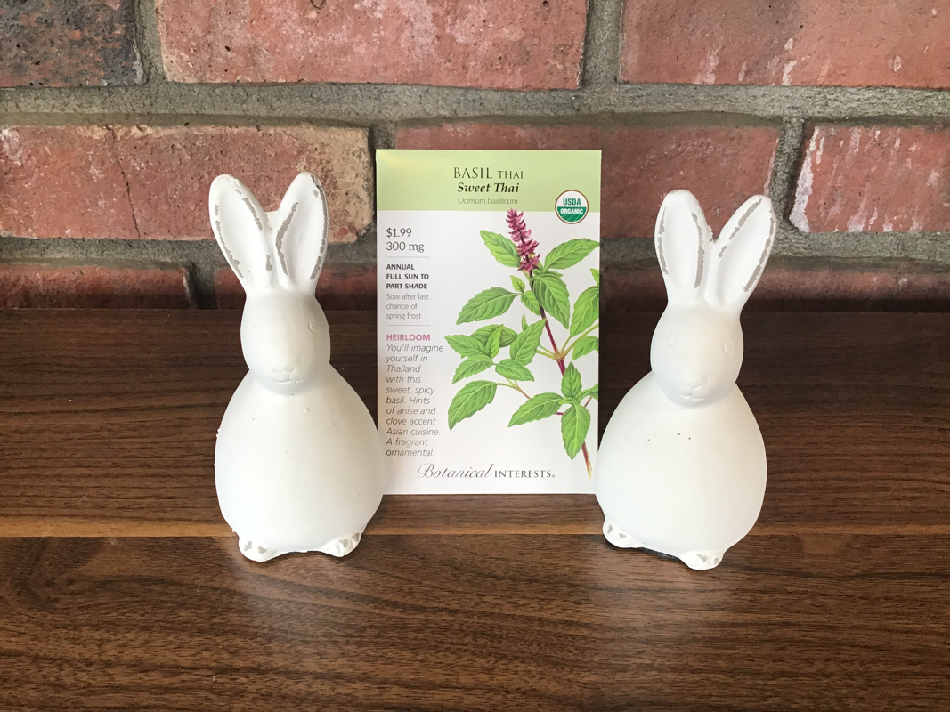Basil Sweet Thai Organic